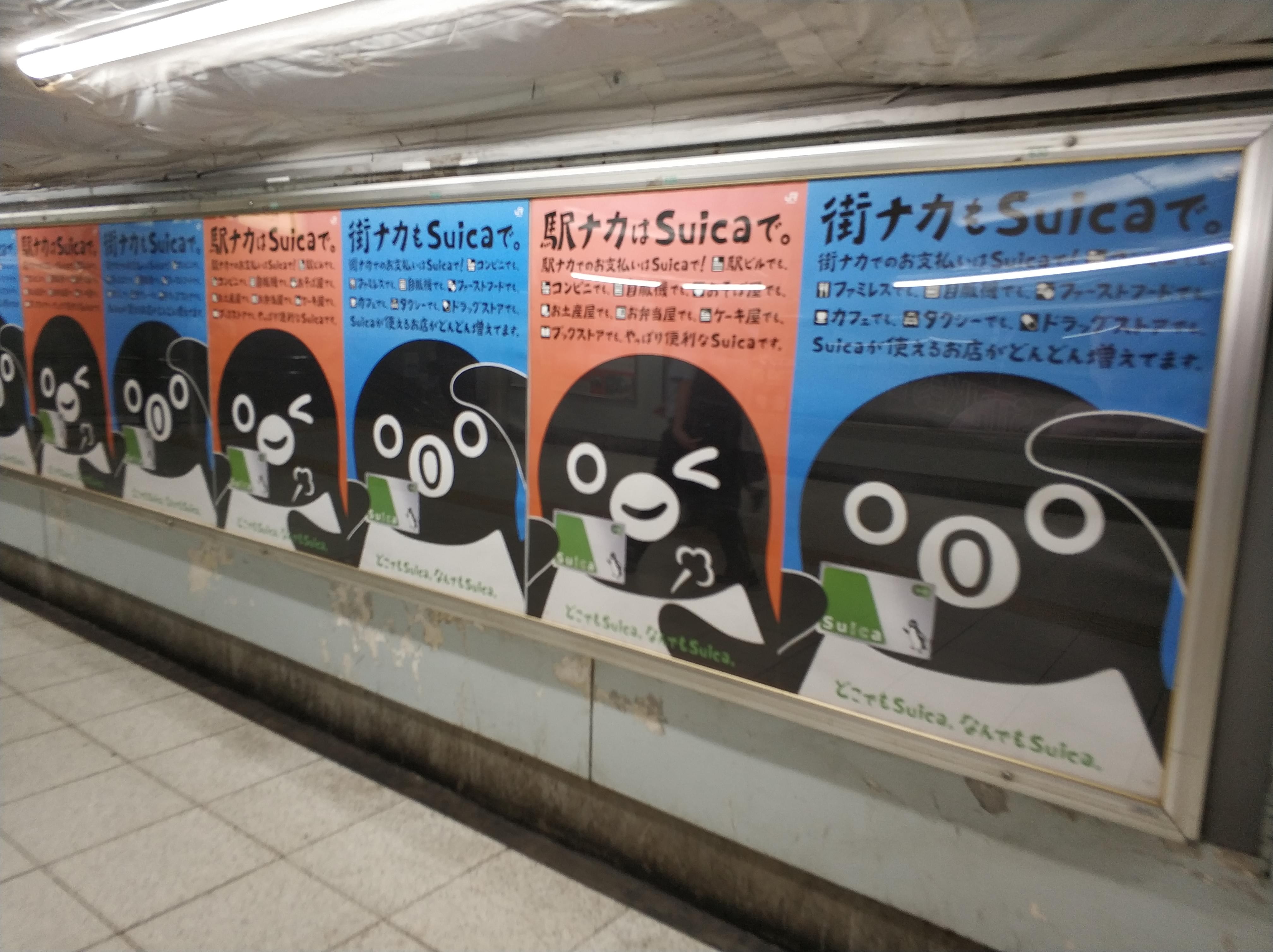 魔性企鹅,在线复读