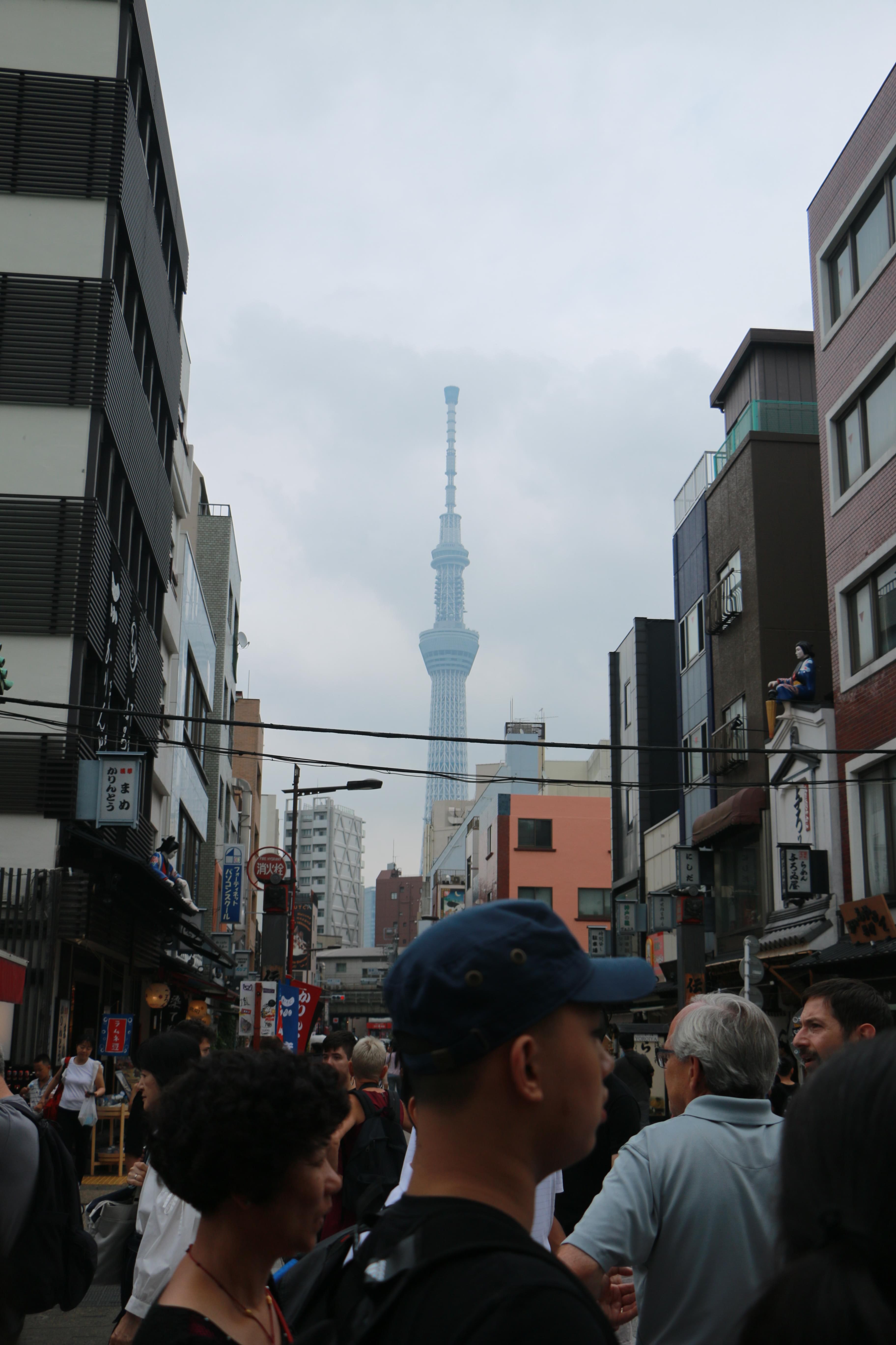 是哪一座塔呢~?